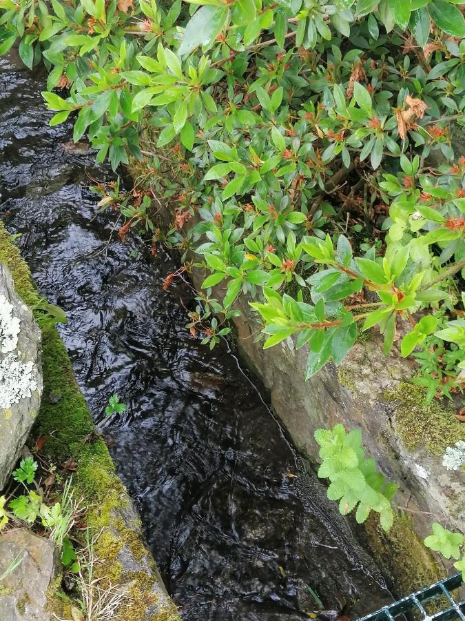 Lar da Mota Hotel Arzua Bagian luar foto