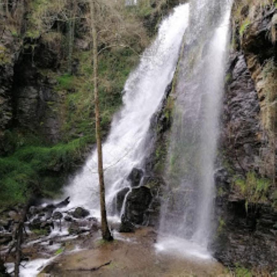 Lar da Mota Hotel Arzua Bagian luar foto
